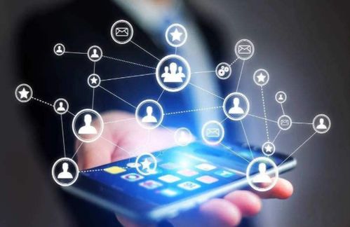 猎头如何在计算机网络科技领域精准寻觅技术开发人才