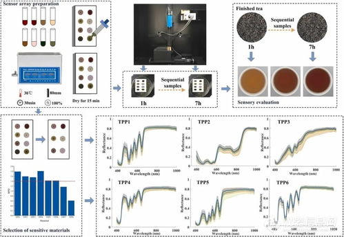 跨界融合 从红茶发酵机理到计算机网络技术的创新启示